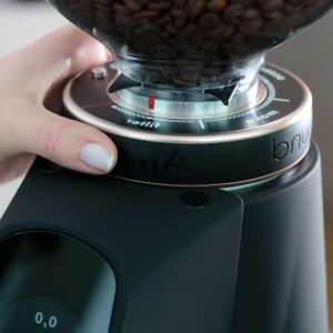 Fiorenzato All Ground Çok Fonksiyonlu Kahve Değirmeni - Görsel 3